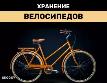 /w/ - НЬЮФАЖНЫХ ВОПРОСОВ ТРЕД